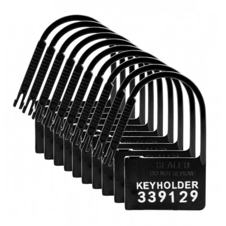 Pack 10 cadenas plastiques à usage unique