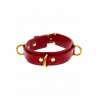 D-Ring Collar Deluxe