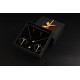 Coffret pinces à seins gold - nipple torture Malins-Plaisirs