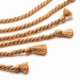 Swashbuckler Fouet en Corde