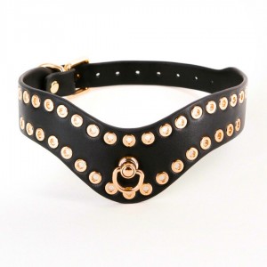 Collier de soumission - Accessoires BDSM Malins-Plaisirs