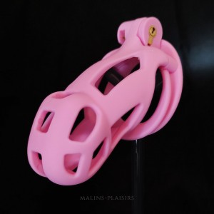 Penis Prison Rose - Hidden Desire Extreme