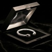 Anneau de gland Serpent Silver en acier inoxydable argenté – Malins-Plaisirs