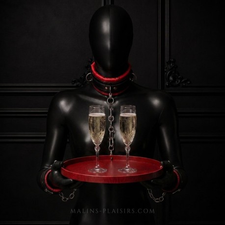 Kit BDSM Servant - Accessoires BDSM Malins-Plaisirs