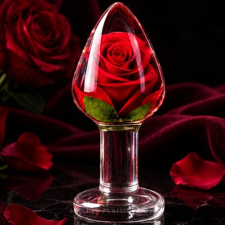 Plug anal Rose Rouge Bloomé avec véritable fleur en résine époxy transparente